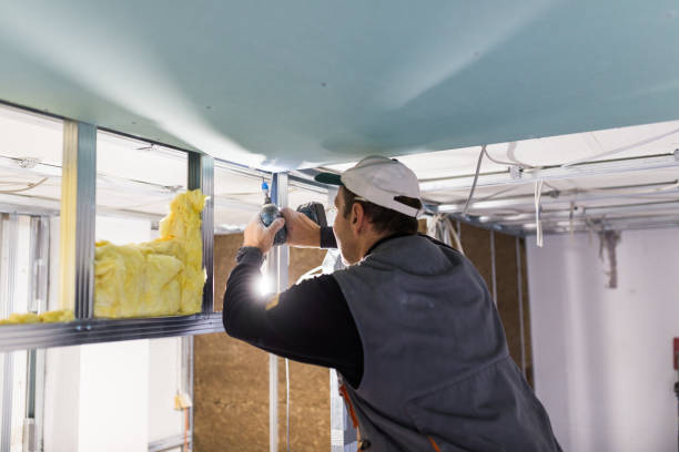 Best Fiberglass Insulation in Chilhowie, VA