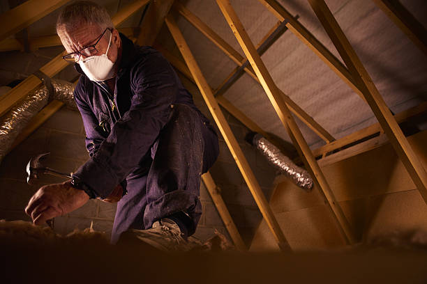 Best Commercial Insulation in Chilhowie, VA